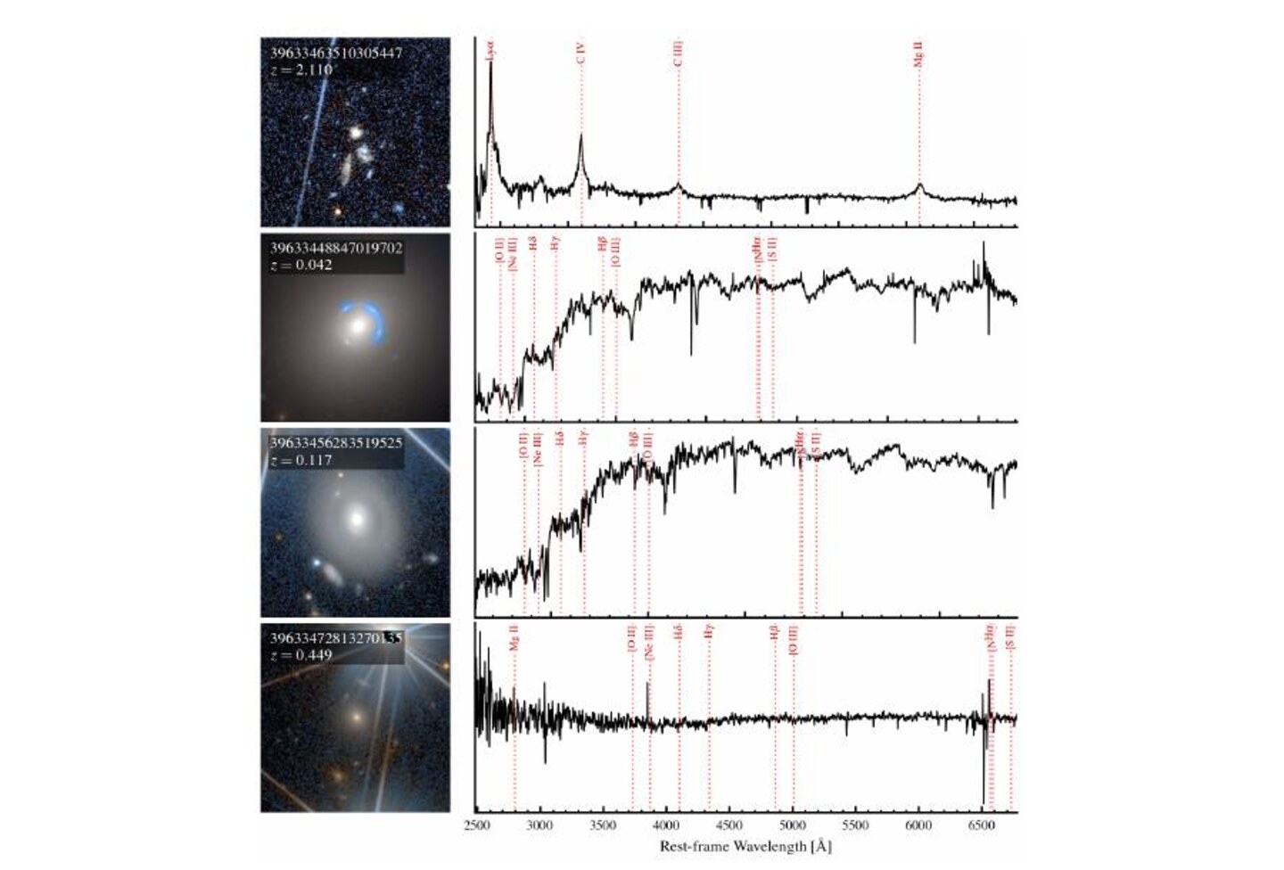 Four high-ranking Euclid anomaly candidates with their matched DESI spectra