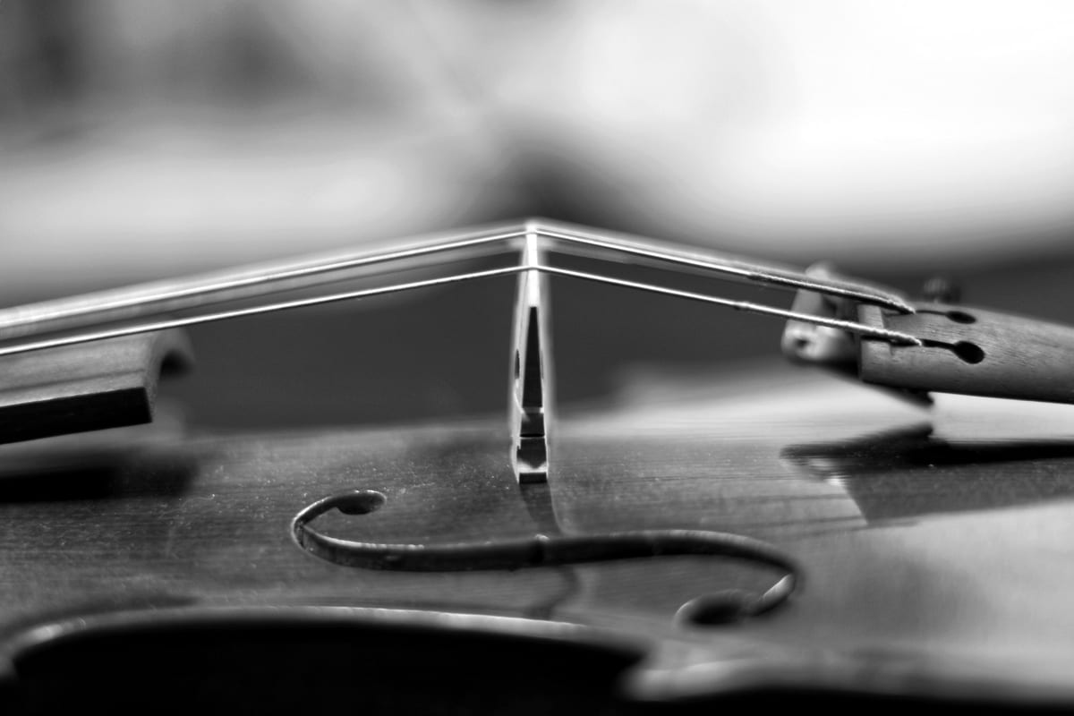 Photograph from the portfolio
